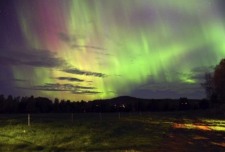 Impressive auroras in green and purple colours light up the night sky over a dark landscape,