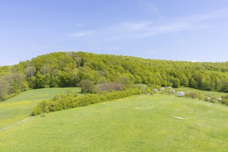 View of the forest and pastures from the historic Wartturm Wehnder Warte, Lindenberg in Eichsfeld,