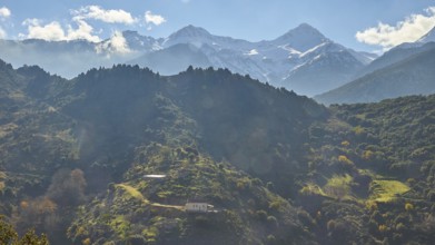 Morning mountain landscape with fog and sun rays breaking through the trees, Erymanthos Mountains,