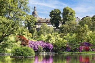 Pond in the castle park, created in the 18th century Rhododendron blossom, in the back Berleburg