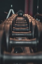 Lined up dumbbells in a fitness studio with a dark atmosphere, historic fitness studio, Bulls Fit,
