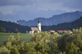 View from the Ainringer moss nature reserve to Ulrichshögl with the Lattengebirge mountains in the