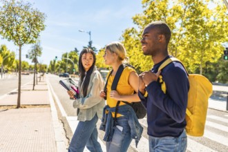 Multi-ethnic students on the way to the university crossing at a pedestrian crossing