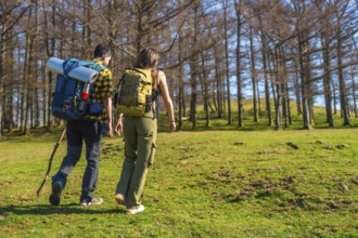 Hikers with backpacks trekking through a vibrant forest, soaking in the sunshine and enjoying the