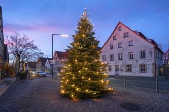 Illuminated Christmas tree on the village square at dusk, Eschenau, Middle Franconia, Bavaria,