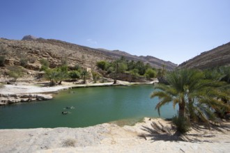 Wadi Bani Khalid, Shamal ash-Sharqiyya district, Oman