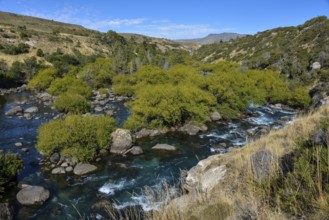 The Chimehuin River in Patagonia, Neuquen, Argentina