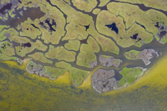 Aerial view over salt marsh on the island Kirr in the Darß-Zingster Boddenkette, along the German