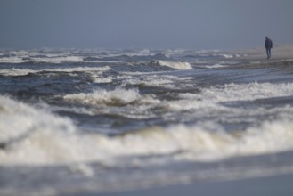 Man on the beach, surf, Søndervig Strand, Ringkøbing Fjord, Denmark