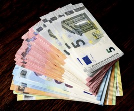 Money compartments, euro notes, Symbol photo, Money, Wealth
