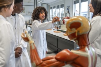 Medical students engaging in hands on learning of human anatomy with an anatomical model in a