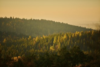 View over the trees and forest of the front bavarian forest in autumn near Wiesent, Upper