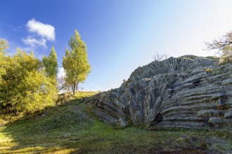 Exposed basalt columns from volcanic times, the so-called palm frond, Hirtstein, Marienberg,
