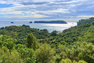 Panoramic view of the coast with green hills and islands in the sea, Cathedral Cove, Hahei,