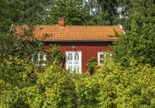 Red cottage among trees and bushes on the island of Visingsö, Lake Vättern, Jönköping municipality,