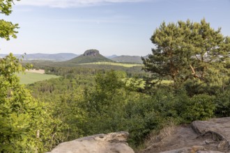 View from the Kleiner Bärenstein to the Lilienstein, Saxon Switzerland, Saxony, Germany