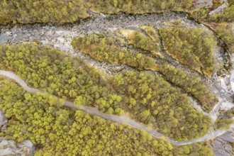 Aerial view of river and path in a birch forest, path from parking lot to glacier Briksdalbreen,