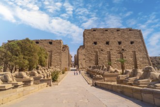 Sculpture of the pharaoh with the body of a lion inside the temple of Karnak, the great sanctuary