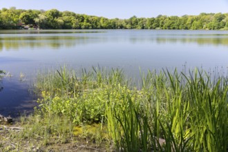 Auensee, Leipzig, Saxony, Germany