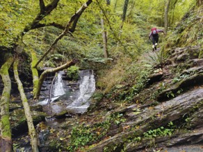 Hiker in the Hölzbachklamm gorge with a small waterfall, municipality of Morbach,
