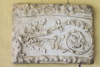 Fragment of a slightly curved frieze with tendrils, Städtisches Lapidarium, City of Stuttgart,