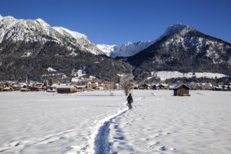 Winter landscape, snowy landscape, view of Oberstdorf, behind Gaisalphorn, Geißfuß, Nebelhorn,