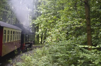 Selketalbahn, Harzer Schmalspurbahn, Brockenbahn runs through the Harz Mountains, Saxony-Anhalt,