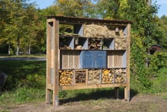 Large wooden insect hotel in an autumn garden, Magdeburgerforth, Jerichower Land, Saxony-Anhalt,