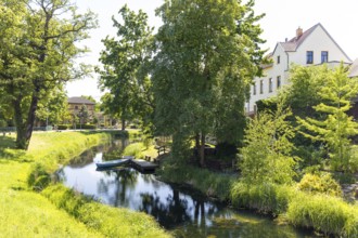 Moat of the former town fortifications, Delitzsch, Saxony, Germany