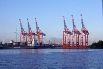 Waltershofer harbour with container terminal, Port of Hamburg, Germany