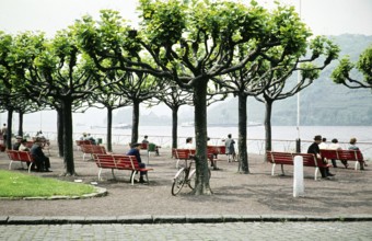 People sitting on benches on a terrace overlooking the Rhine, Andernach, Mayen Koblenz,