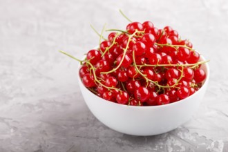 Fresh red currant in white bowl on gray concrete background. side view, close up