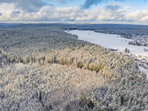 Snowy forest and fields taken from the air, blue sky with clouds, cold and wide scenery,
