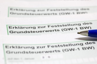 Declaration of property tax value, property tax, tax return, tax office, forms, pens