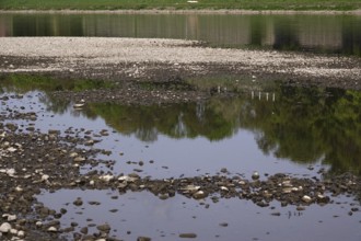 Elbe near Dresden with low water on 23/04/2025, drought, Saxony, Germany