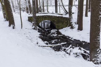 Historic stone arch bridge over the Lockwitzbach stream in Spitzgrund near Coswig, Saxony, Germany