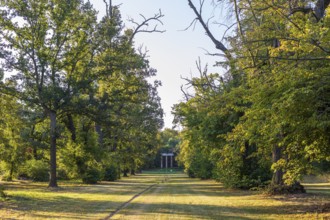 Artificial Trianon ruin and old lime tree avenue (Tilia) in Eythra, natural monument on Lake