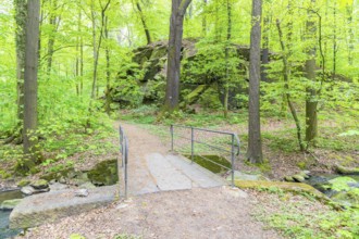 Hiking trail crosses the Kotitzer Wasser stream with a bridge in the Lausker Skala, Lauske,