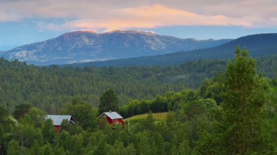 View of Dovrefjell, mountain, landscape photo, landscape format, fir forest, red wooden house,