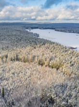 Snowy forest with fields, blue sky with clouds, cool, calm and natural atmosphere, Oberreichenbach,