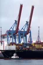 Small tug VB Perfect with large container ship MSC Tokyo at the Burchardkai container terminal in