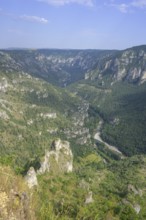 View from Point Sublime into the Tarn Gorge, Massegros Causses Gorges, Département Lozère, France