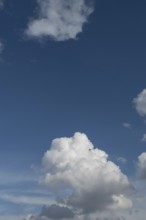 Cluster cloud (cumulus), blue sky, Bavaria, Germany
