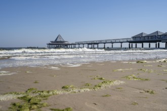 Pier, seaweed on the beach, Heringsdorf, Usedom Island, Baltic Sea, Mecklenburg-Western Pomerania,