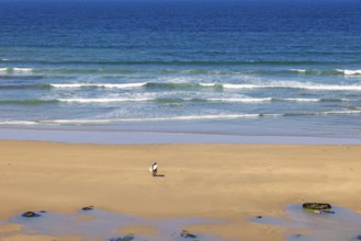 Man with a surfboard walking up from the water with breaking waves on a sand beach, Crozon