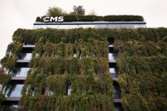 Climate-neutral façade greening on the new building, office building of CMS Hasche Sigle, Calwer