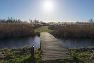 Backlit bridge, sun, De Alde Feanen National Park, the old fen, Earnewald, Eernewoude, Friesland,