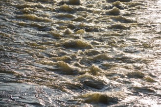 Diemel river, strong water flow in spring, Helmarshausen, Bad Karlshafen, Hesse, Germany