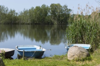 Rowing boats lying on the bank of the middle pond near Neudorf Klösterlich, Wittichenau, Dubringer