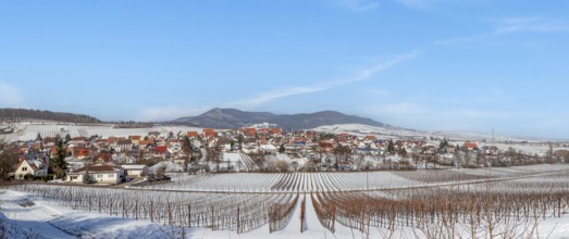 View over snow-covered vineyards to the wine village of Ranschbach, Southern Palatinate,